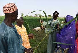 Agriculture : Processus de mise en place du SNCA