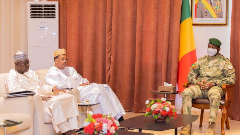 Coopération : Le Mali et le Niger renforcent leurs partenariats dans le secteur de l’énergie