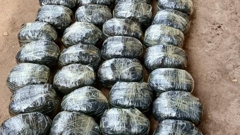 Saisie de cannabis : 104 boules interceptées dans deux camions par la douane