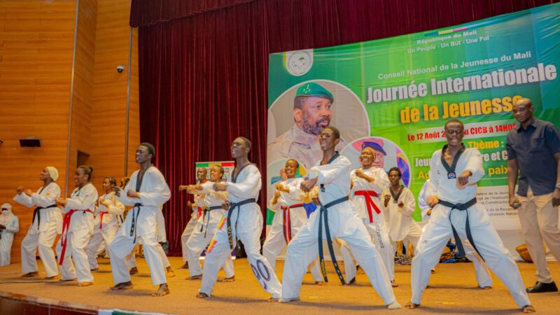 Journée internationale de la jeunesse : La touche de ministre Assa Badiallo Touré