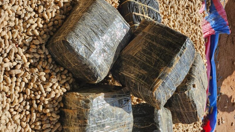 Saisies de Tramadol : Deux coups de filet de la douane qui sauvent des vies