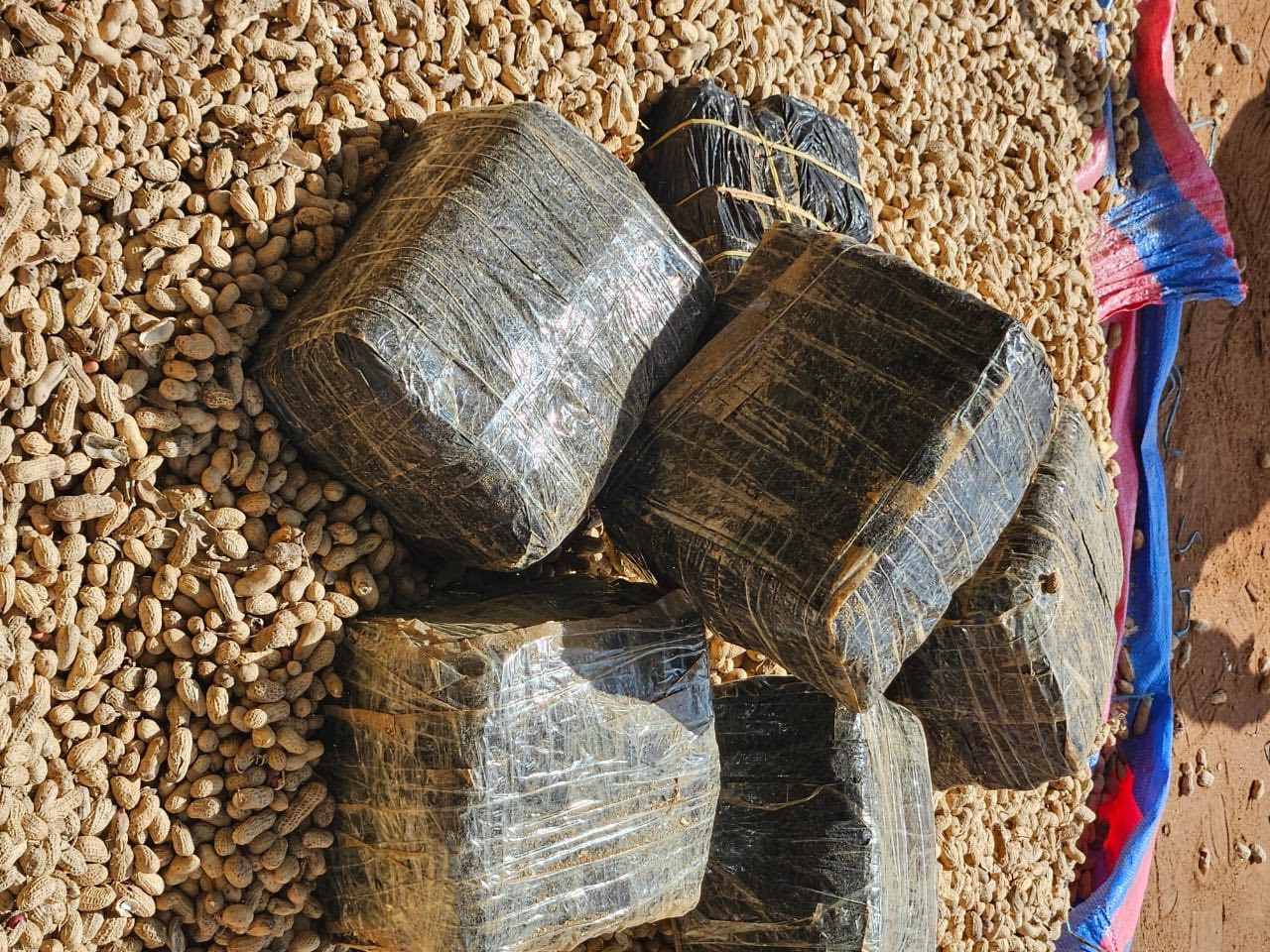 Saisies de Tramadol : Deux coups de filet de la douane qui sauvent des vies