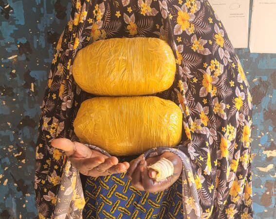 Lutte contre les stupéfiants : 6 KG DE DROGUE KUSH INTERCEPTÉS PAR LA DOUANE À BOUGOUNI