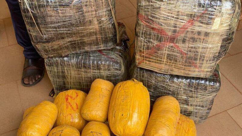 Koutiala : la Douane frappe un réseau alimentant les sites d’orpaillage en médicaments contrefaits et cannabis