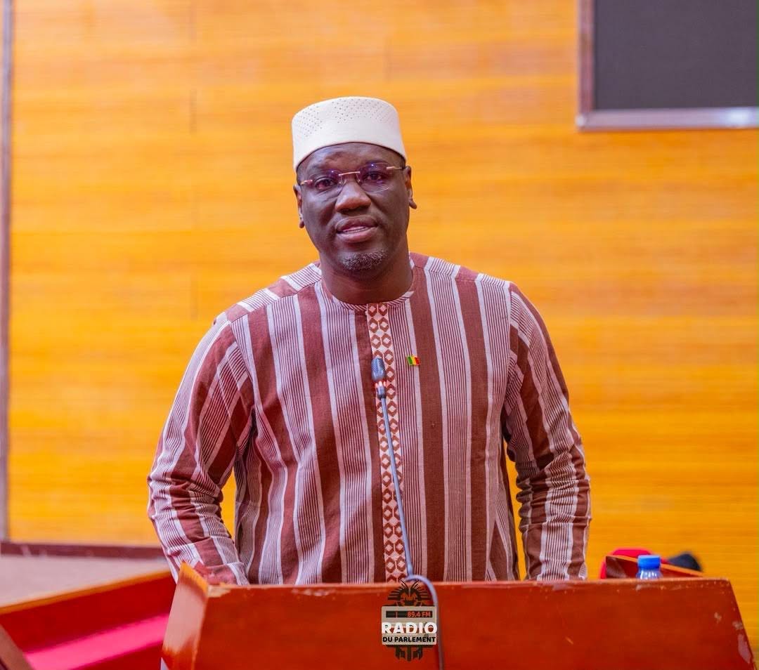 Énergie : Le CNT approuve à l’unanimité le financement de la Boucle Nord 225 kV autour de Bamako