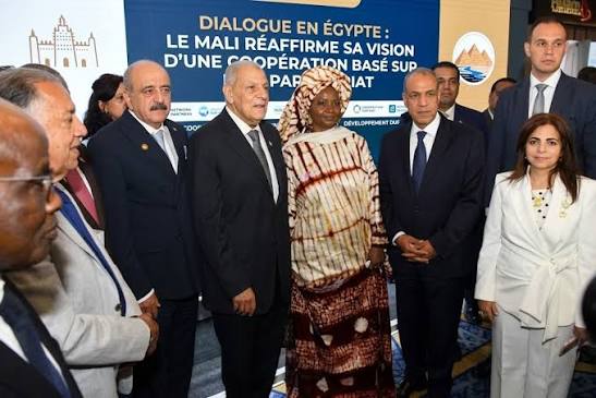 Coopération Sud-Sud : Le Mali plaide au Caire pour des partenariats au service de l’emploi